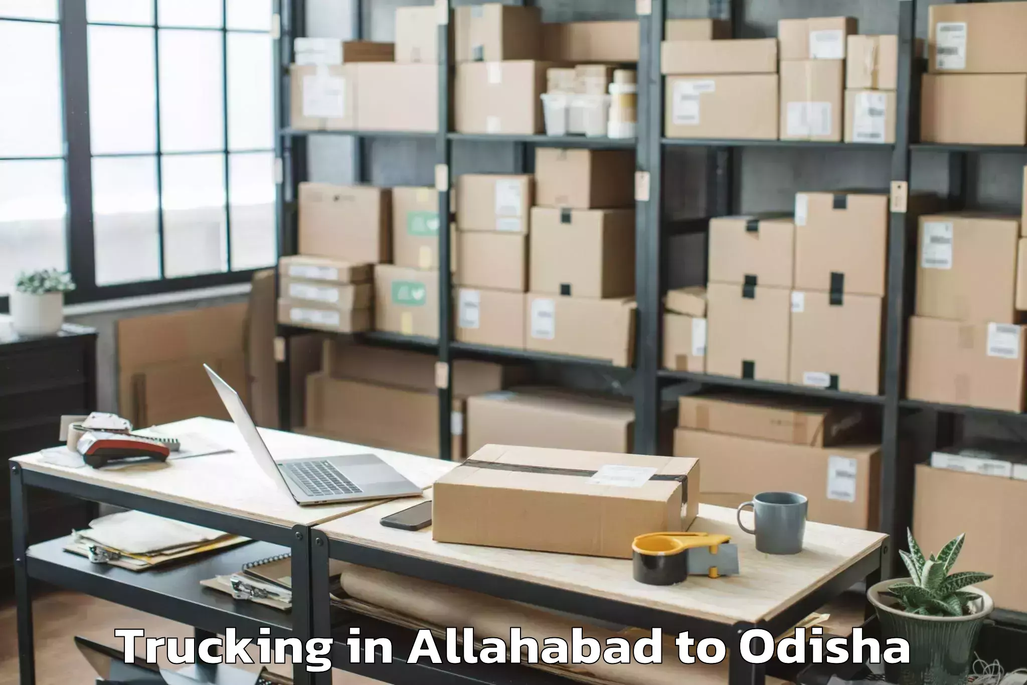 Hassle-Free Allahabad to Delang Trucking